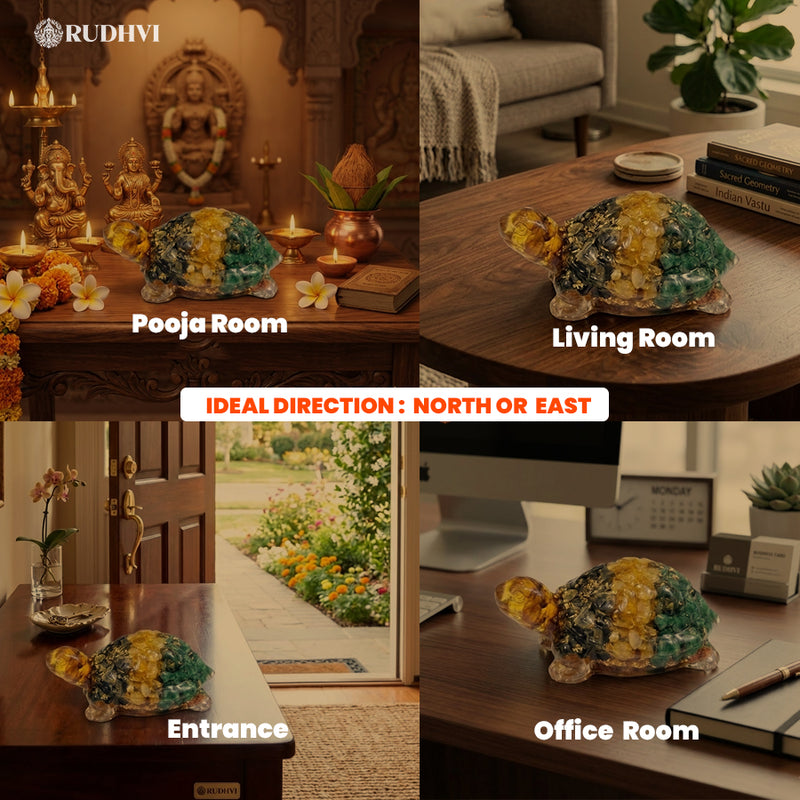 Vastu Dhan Yog Tortoise (Kachua) for Wealth, Prosperity & Protection