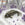 Vastu Pyrite Money Magnet Fish for Wealth, Prosperity & Financial Growth