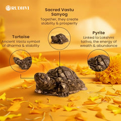 Vastu Pyrite Tortoise (Kachhua) – Wealth, Protection & Stability Symbol | RUDHVI