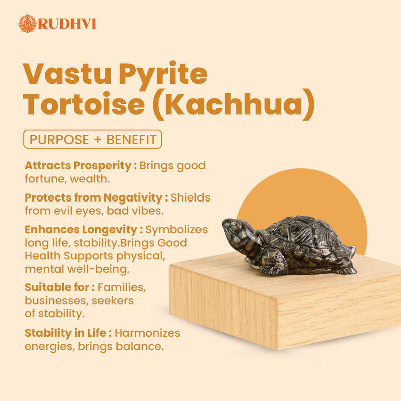 Vastu Pyrite Tortoise (Kachhua) – Wealth, Protection & Stability Symbol | RUDHVI