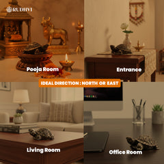 Vastu Pyrite Tortoise (Kachhua) – Wealth, Protection & Stability Symbol | RUDHVI