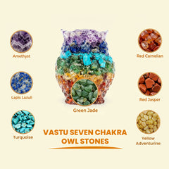 Vastu Seven Chakra Owl – Energy Healing, Protection & Prosperity Owl for Home & Office