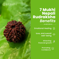 handcrafted bracelet for divine energy	authentic rudraksha, divine energy-Rudhvi