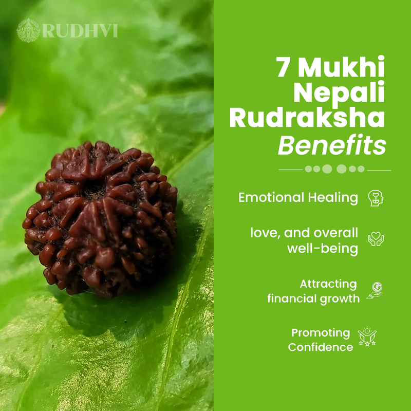 handcrafted bracelet for divine energy	authentic rudraksha, divine energy-Rudhvi