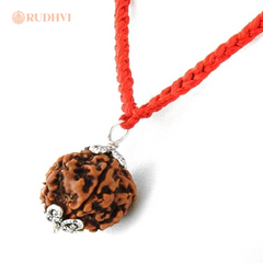 Original Chhey Mukhi Nepali Rudraksha with natural six faces