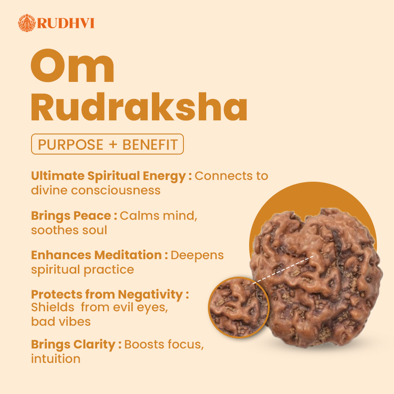 Nepali OM Rudraksha (Nepal Origin) – Sacred Shiva Energy Bead | Certified | Rudhvi