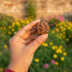 Nepali OM Rudraksha (Nepal Origin) – Sacred Shiva Energy Bead | Certified | Rudhvi