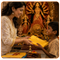 दुर्गा पूजा वस्त्र दान