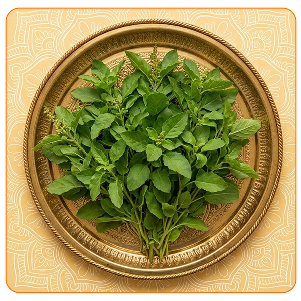 Vishesh 108 tulsi archana seva