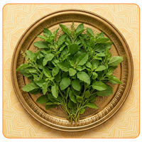 विशेष 108 तुलसी अर्चना सेवा