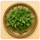 Vishesh 108 tulsi archana seva