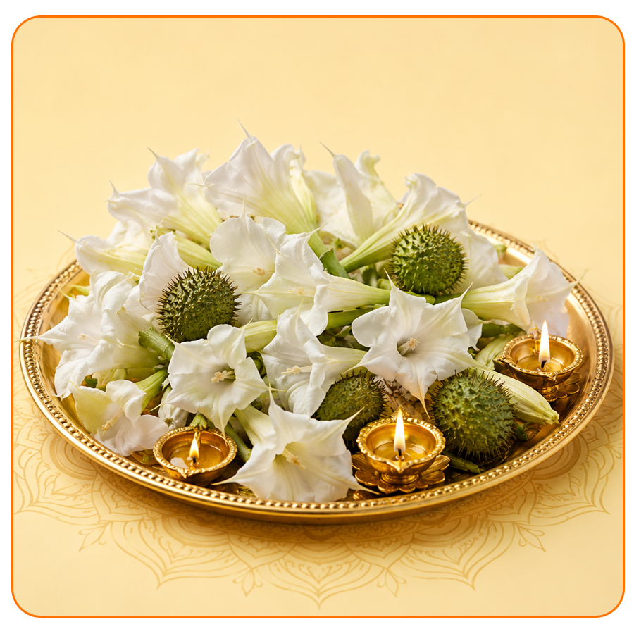 Dhatura & Phool Arpan