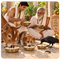 पंचबली सेवा