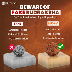 Comparison of fake and Rudhvi Rudraksha beads with text warning about fraud.