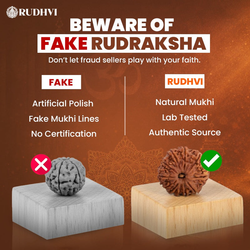 Comparison of fake and Rudhvi Rudraksha beads with text warning about fraud.
