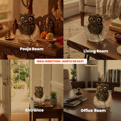 Pyrite Owl placement in home or office for vastu wealth direction