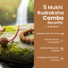 5 Mukhi Rudraksha Combo