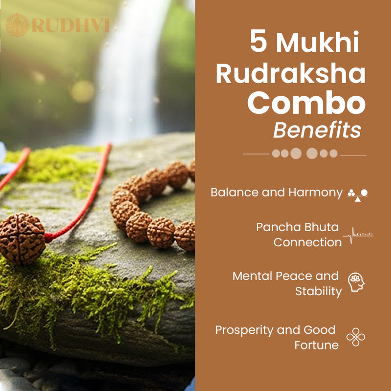 5 Mukhi Rudraksha Combo