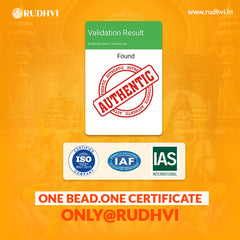 8 Mukhi Nepali Rudraksha |  One Bead. One Certificate. | Rudhvi