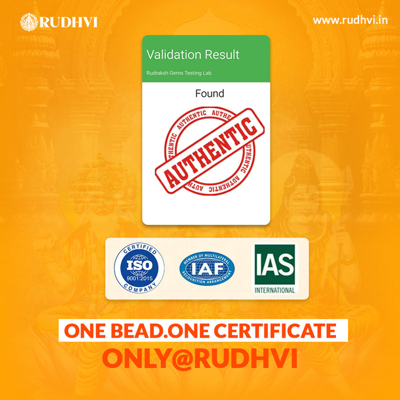 8 Mukhi Nepali Rudraksha |  One Bead. One Certificate. | Rudhvi