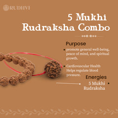 5 Mukhi Rudraksha Combo