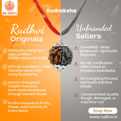 Comparison between Rudhvi Originals and unbranded Rudraksha sellers showing certified, mantra-energized, lab-tested authentic Rudraksha beads with purity assurance-Rudhvi