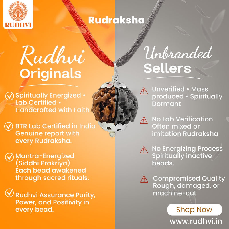 Comparison between Rudhvi Originals and unbranded Rudraksha sellers showing certified, mantra-energized, lab-tested authentic Rudraksha beads with purity assurance-Rudhvi