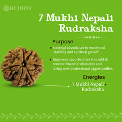 wealth and protection	gift box, wealth bracelet-Rudhvi