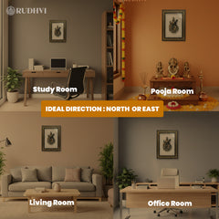 Pyrite Saraswati on Selenite Frame | Rudhvi